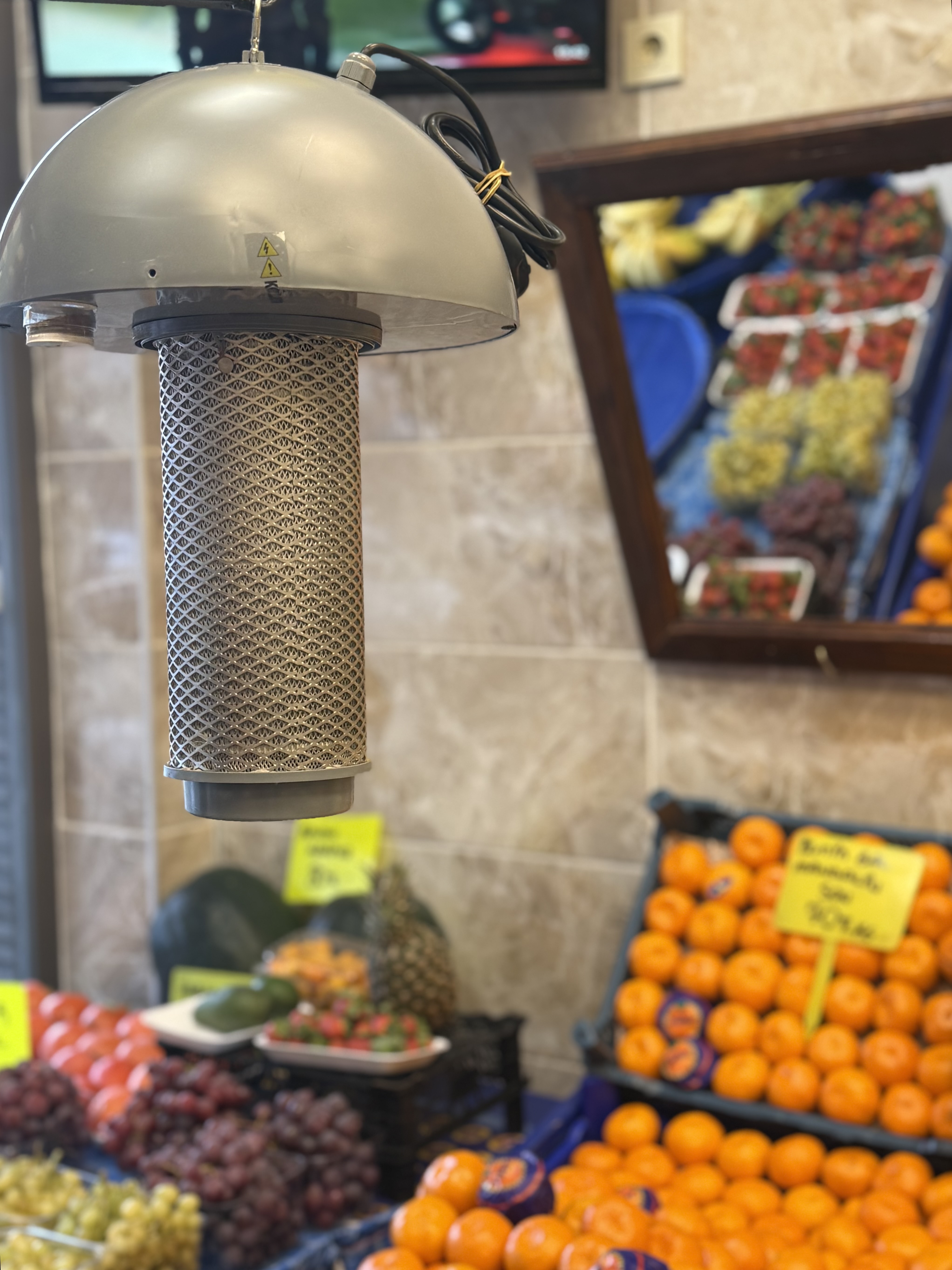 Meyve ve Sebze alanlar